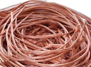 56235-removebg-preview